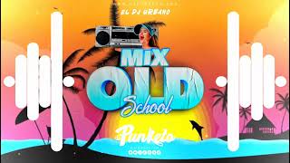 MIX OLD SCHOOL REGGAETON DJ PUNKETO [upl. by Nioe873]