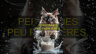 Les 5 secrets pour ne pas froisser votre chat 🐾 [upl. by Dralliw]