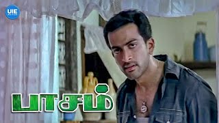 Paasam Movie Scenes  I’ll never choose anyone over my sister  Prithviraj Sukumaran [upl. by Atteuqehs61]