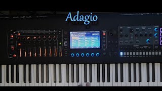 Adagio – A MarcelloJ S Bach Cover [upl. by Tik601]