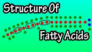 Fatty Acids  What Are Fatty Acids  Structure Of Fatty Acids  Types Of Fatty Acids [upl. by Margreta]