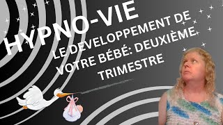 Le Developpement de Votre Bébé Durant le Deuxième Trimestre de la Grossesse [upl. by Nadine994]