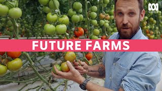 Growing Tomatoes Indoors With 94 Less Water And No Soil [upl. by Shieh]