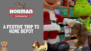 A Festive Trip to Home Depot 🎄🎅🏻 [upl. by Lalo]