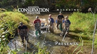 Electrofishing Trout Run Creek [upl. by Esilrahc673]