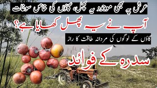 Benefits of berry fruit  بیری کے پھل کے فوائد [upl. by Elberta35]