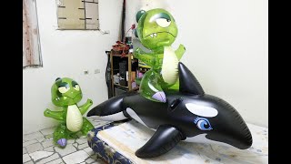 whale ride on float inflatable toy [upl. by Lirba]