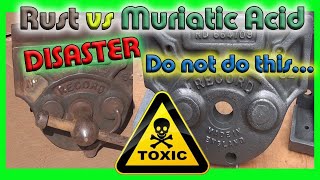 Rust vs Muriatic Acid DISASTER Do not do this [upl. by Redyr]