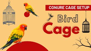 పక్షి పంజరం  Bird Cage Setup  Enclosure for Conures [upl. by Niajneb875]