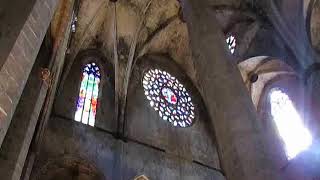 PEREGRINO BARCELONA CATEDRAL DEL MAR [upl. by Galven275]