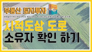 지적도상 도로 소유자 확인법 부동산스터디 토지투자 토지대장 지적도상도로 도로지분 도로소유자 [upl. by Littlejohn649]