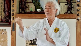 Too dangerous Okinawa Karate Masters Amazing skills [upl. by Grissom]