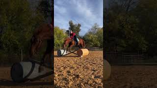 TB to Last November maybe Cinders gonna learn to ride English this Nov 🤭😝 jaylieayres horse [upl. by Asirem]