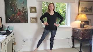 Balance Exercises Seniors and Beginners  No Equipment needed [upl. by Eniruam]