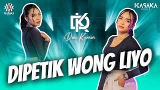 Dini Kurnia  Dipetik Wong Liyo  Official Music Video  Wis Wayah Ganti Musim [upl. by Aimet]