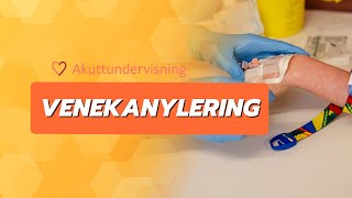 PVK  Venekanylering med veneflon av anestesilege [upl. by Brinn563]