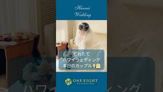 本日のハワイ挙式はセントラルユニオン大聖堂｜ ハワイウェディング ハワイ挙式 ハワイ結婚式 [upl. by Bord789]