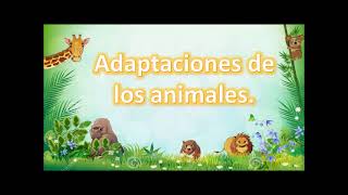 GUIA 17 4 Adaptaciones de los animales [upl. by Naoh]