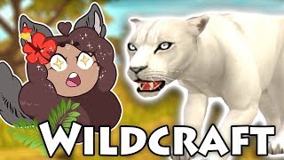 AMBUSHED by Furious Cheetahs 🐺 WildCraft • Starry Savannah • 6 [upl. by Hopfinger]