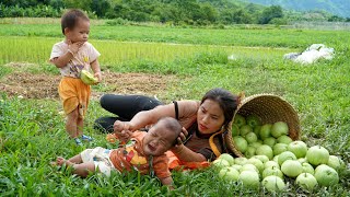 Harvest a giant melon garden with your children to sell at the central market  cook pig bran [upl. by Ruamaj]