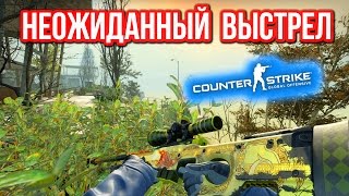 НЕОЖИДАННЫЙ ВЫСТРЕЛ  в CSGO [upl. by Rraval540]