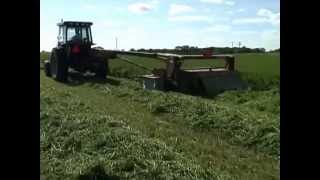 Cutting hay with a Kuhn FC 300G and Allis Chalmers 6080 [upl. by Eyla]