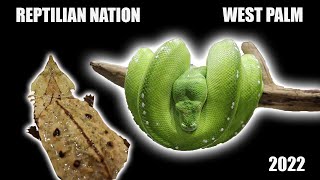 1st Annual Reptilian Nation Expo 2022  West Palm Beach 10000 Reptile Lovers [upl. by Xavier]