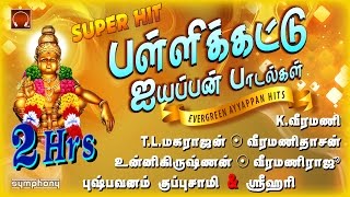 Pallikattu  Ayyappan Songs hits  Veeramani  Veeramanidasan  Srihari [upl. by Olihs]