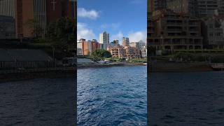 Kirribilli lookout🇦🇺trending ytshorts ytshortsindia youtuber youtubeshort viral video al [upl. by Lesnah730]