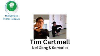 Tim Cartmell Somatics amp Nei Gong [upl. by Karry7]