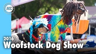 2016 Woofstock Dog Show [upl. by Eedeed689]