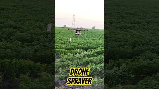 Drone sprayerviralvideo drone dronesprayagricultural agriculture shots [upl. by Eynobe]