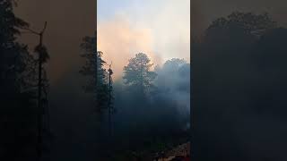 así está el incendio de San Juan quiotepec [upl. by Dannica642]