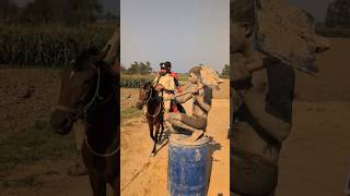 The Police Men Vs Statue 🗿😅 Wait wait trending comedy viral [upl. by Aitat]