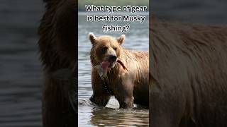 What type gear is best for Musky Fishing [upl. by Morgun]