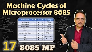 Machine Cycles in Microprocessor 8085  Control Signals with Different Machine Cycles in 8085 [upl. by Nade]