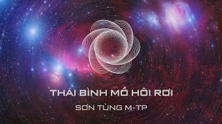 Thái Bình Mồ Hôi Rơi  Sơn Tùng MTP [upl. by Ruthanne36]