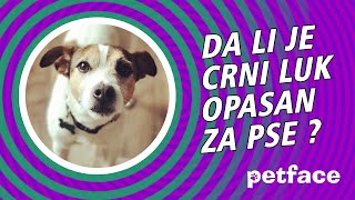 DA LI JE CRNI LUK OPASAN ZA PSE [upl. by Naik]