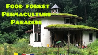 Food Forest Design  Permaculture Tour  Food Forest Transformation  Edible Landscaping Ideas [upl. by Adnilev]