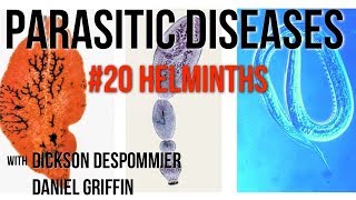 Parasitic Diseases Lectures 20 Helminths [upl. by Ahsirk248]