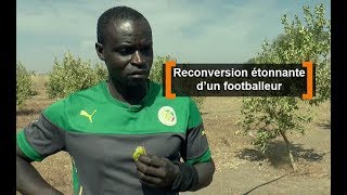 Sénégal  Reconversion étonnante d’un footballeur [upl. by Yrrot232]