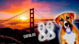 SIRIUS  Heliacal Rising  SAN FRANCISCO 88 [upl. by Seften]