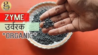 ZYME FERTILIZER Kya Hai NPK DAP ka Organic Substitute  Zyme उर्वरक का उपयोग कैसे करें [upl. by Aimil582]