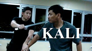 KALI  ARNIS  ESKRIMA  FILIPINO MARTIAL ARTS [upl. by Kilroy522]