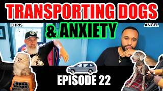 Transporting Dogs amp Anxiety with dogs with chrisandgina and doublemusclelinebulls [upl. by Schnell479]