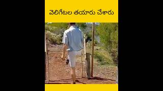 Vellu gate ala thayaru cheysaru facts telugu amazingfacts [upl. by Leahcimrej]