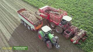 Bieten rooien  Loonbedrijf Breure  De Waard  Vervaet Evo 925  Sugar beet Harvester  Flevoland [upl. by Turnheim]