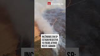 Incêndios em SP estado registra 16 focos ativos neste sábado [upl. by Zsuedat]