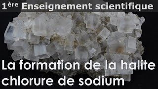 Cristaux  la formation de la halite  chlorure de sodium  Enseignement scientifique  1ère [upl. by Llenyr]