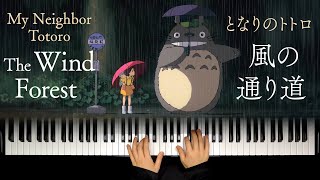 The Wind Forest The Path of the Wind  My Neighbor Totoro  Joe Hisaishi  Piano Solo [upl. by Nguyen]